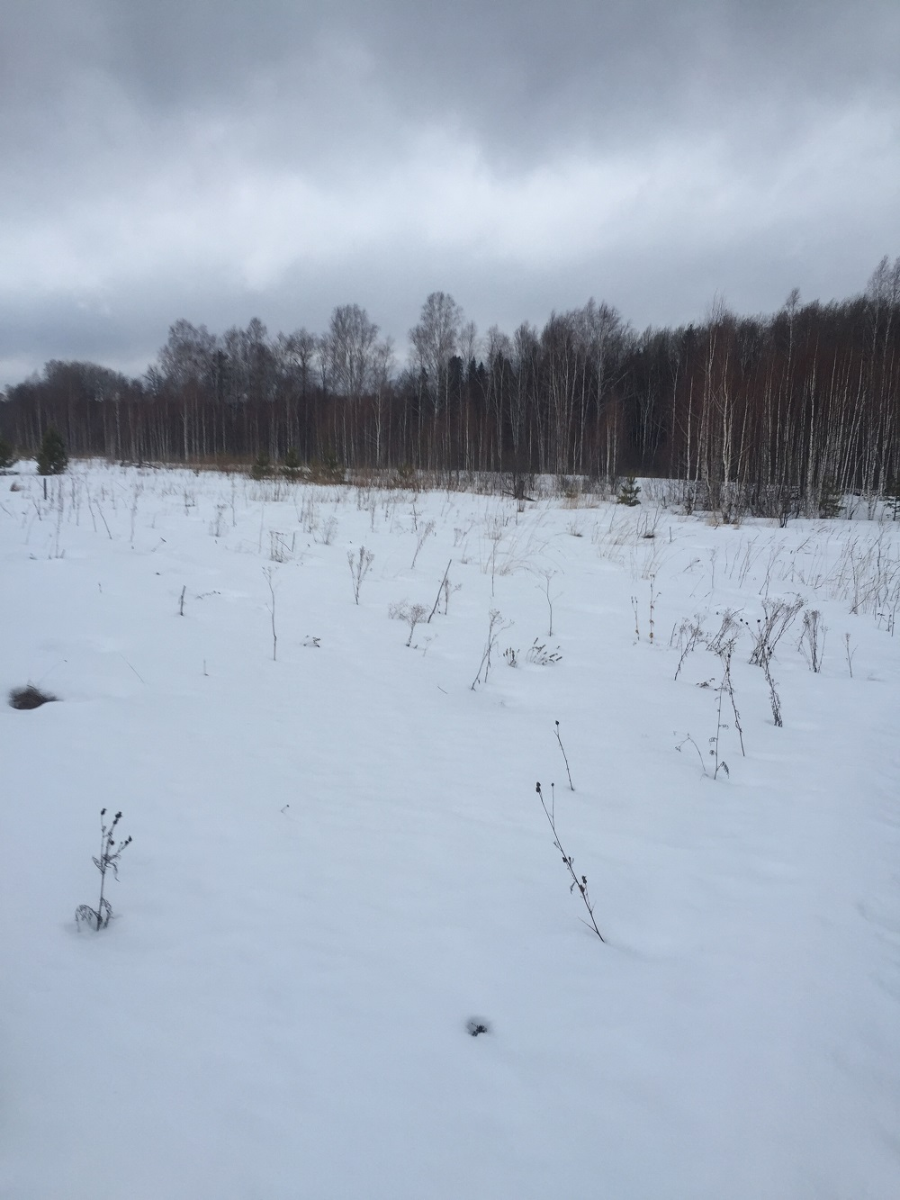 Земельный участок 5 000 м² фото 1