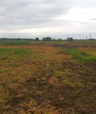 Продается с торгов земельный участок площадью 1 014 889 м², Московская обл., г. Чехов, д. Верхнее Пикалово, №4131 - фото 2