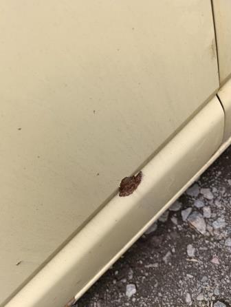 цельнометаллический Volkswagen Transporter фото 68078