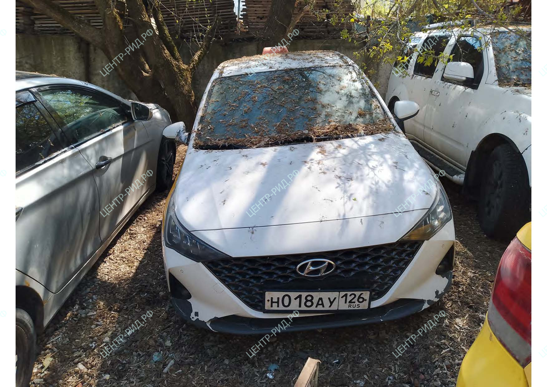 Hyundai Solaris фото 1