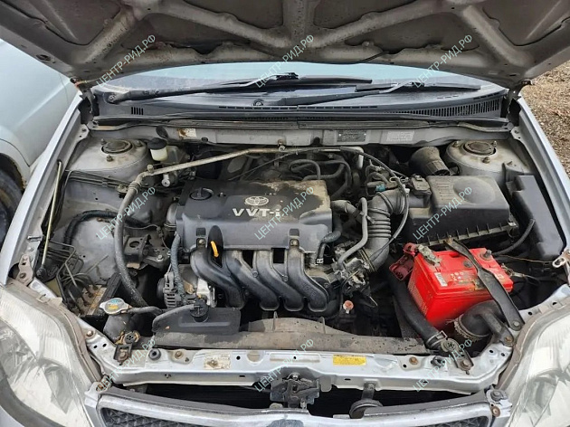 Toyota Corolla фото 130024