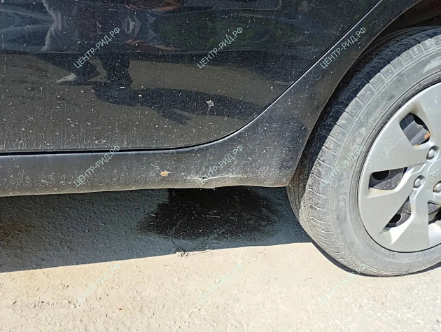 Kia Rio фото 134147