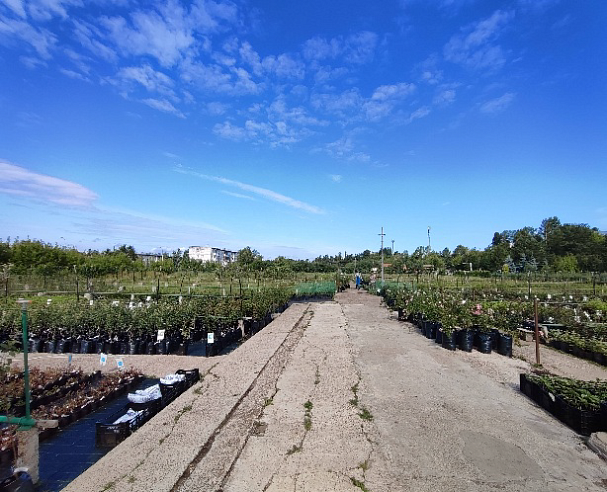 Земельный участок 26 950 м² фото 131018
