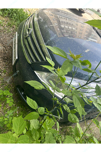 Nissan Teana фото 134709
