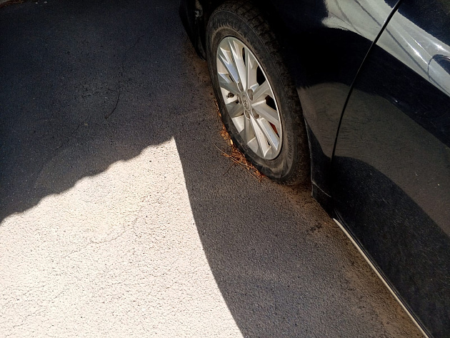 Toyota Camry фото 102528
