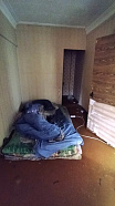 превью 2-к квартира площадью 44 м² фото 2