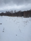 превью Земельный участок 5 000 м² фото 1