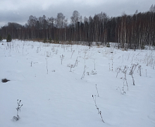 превью Земельный участок 5 000 м² фото 1