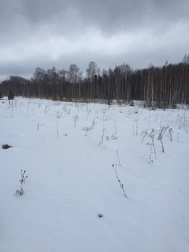 Земельный участок 5 000 м² фото 1