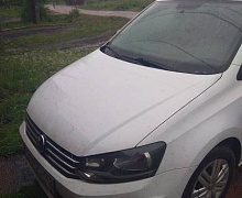 превью Volkswagen Polo фото 1