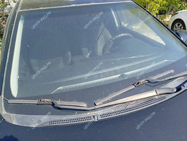 Kia Rio фото 134148