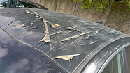 превью Kia Optima фото 6