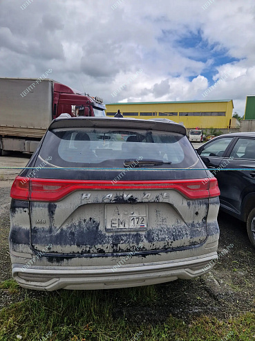 Haval M6 фото 135441