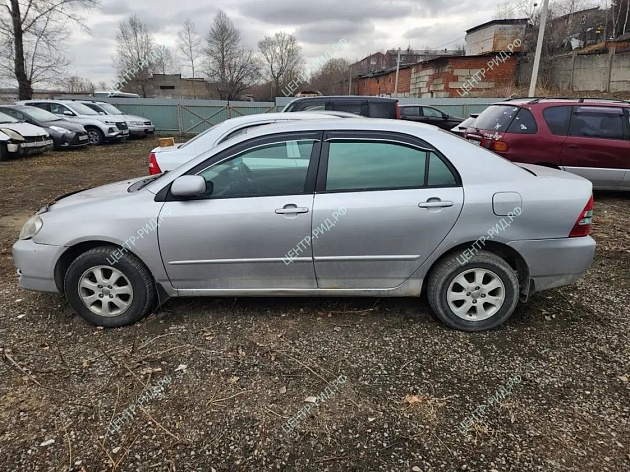 Toyota Corolla фото 130004