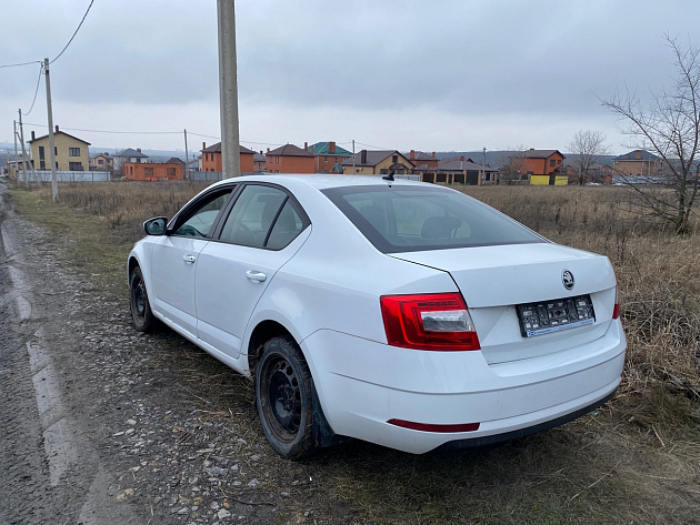 Skoda Octavia Scout фото 129681