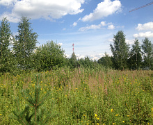 превью Земельный участок 9 132 м² фото 1