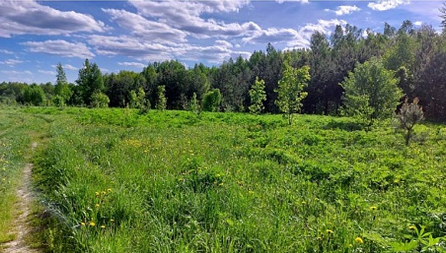 Земельный участок 27 100 м² фото 1