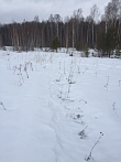превью Земельный участок 5 000 м² фото 3