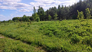 превью Земельный участок 27 100 м² фото 2