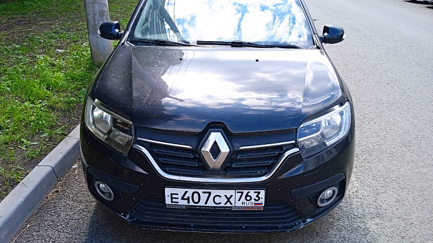 Renault Sandero фото 1