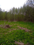 превью Земельный участок 1 002 м² фото 2