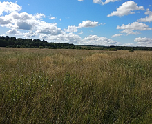 превью Земельный участок 32 000 м² фото 1