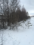 превью Земельный участок 5 000 м² фото 1
