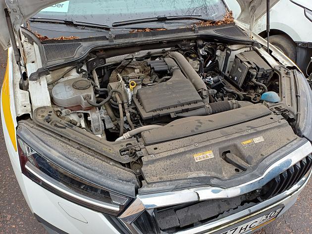 Skoda Octavia фото 105129