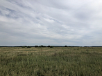 превью Земельный участок 1 149 971 м² фото 1