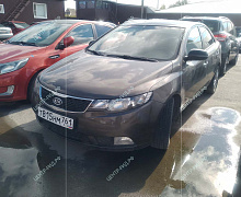 превью Kia Rio фото 1