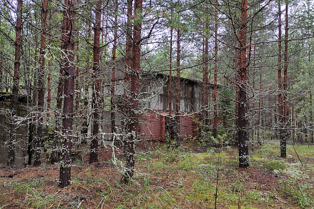 Имущественный комплекс различного назначения  площадью 24 533 м² фото 133506