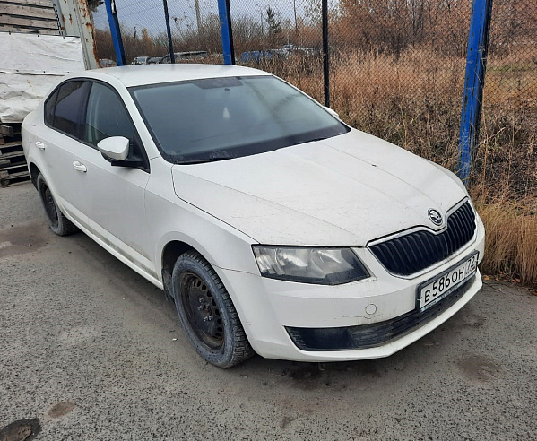 Skoda Octavia фото 1