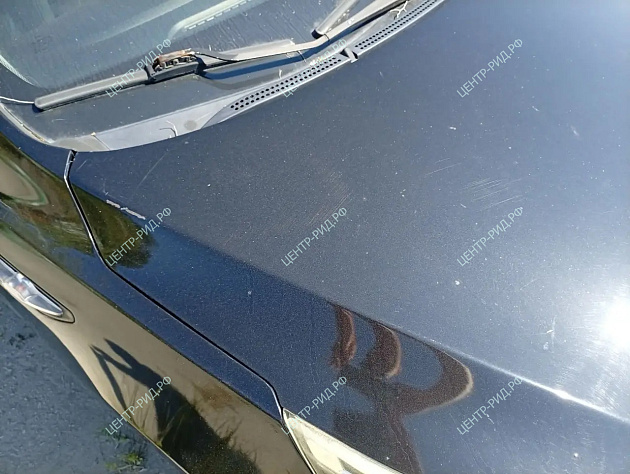 Kia Rio фото 134150