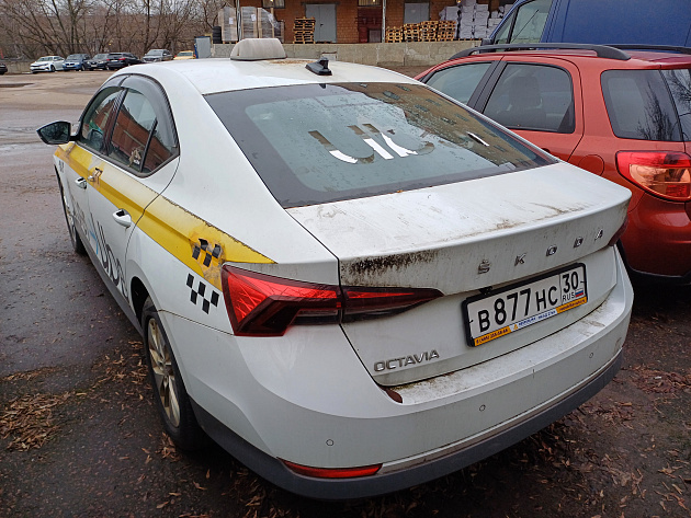 Skoda Octavia фото 105120